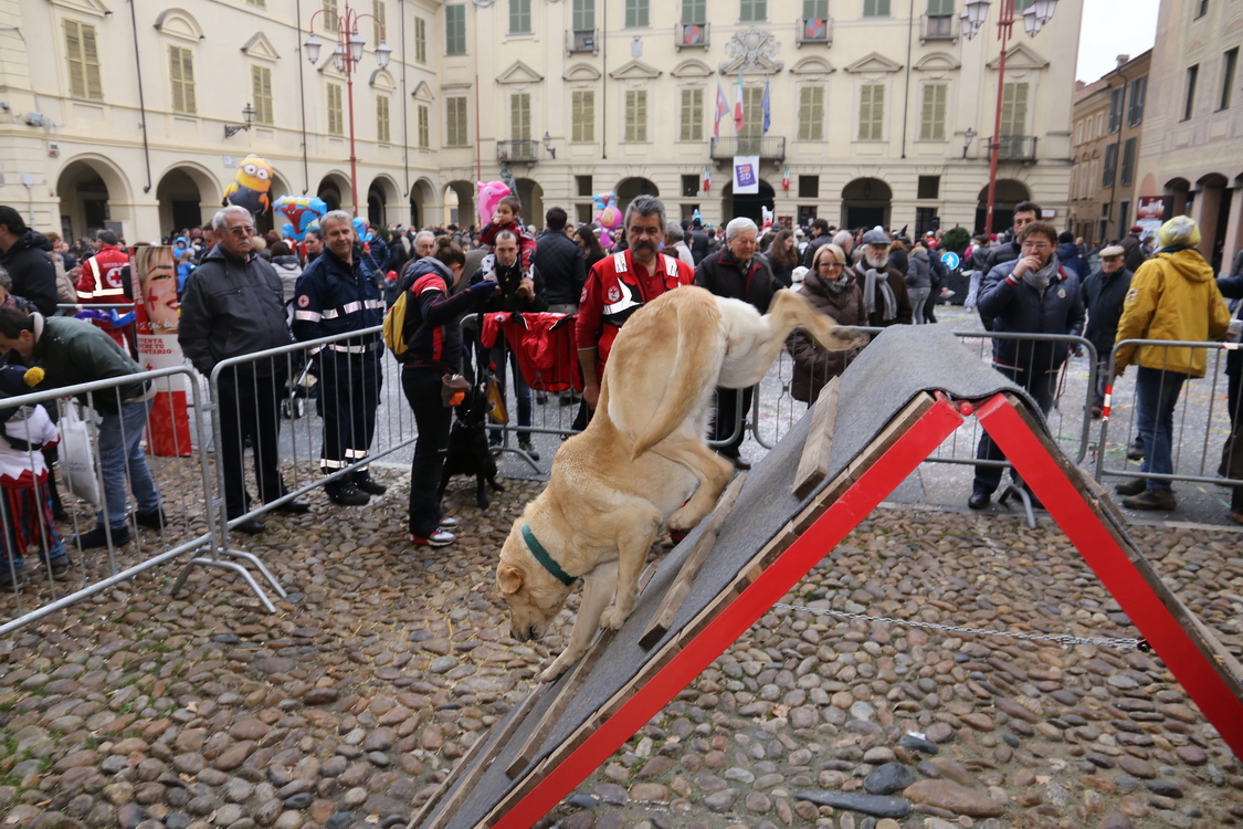 Carnevale 2016_182.JPG